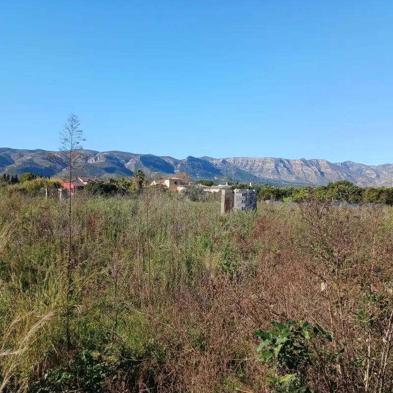 Terreny rústic en venda a Partida Cova Negra, imagen 22