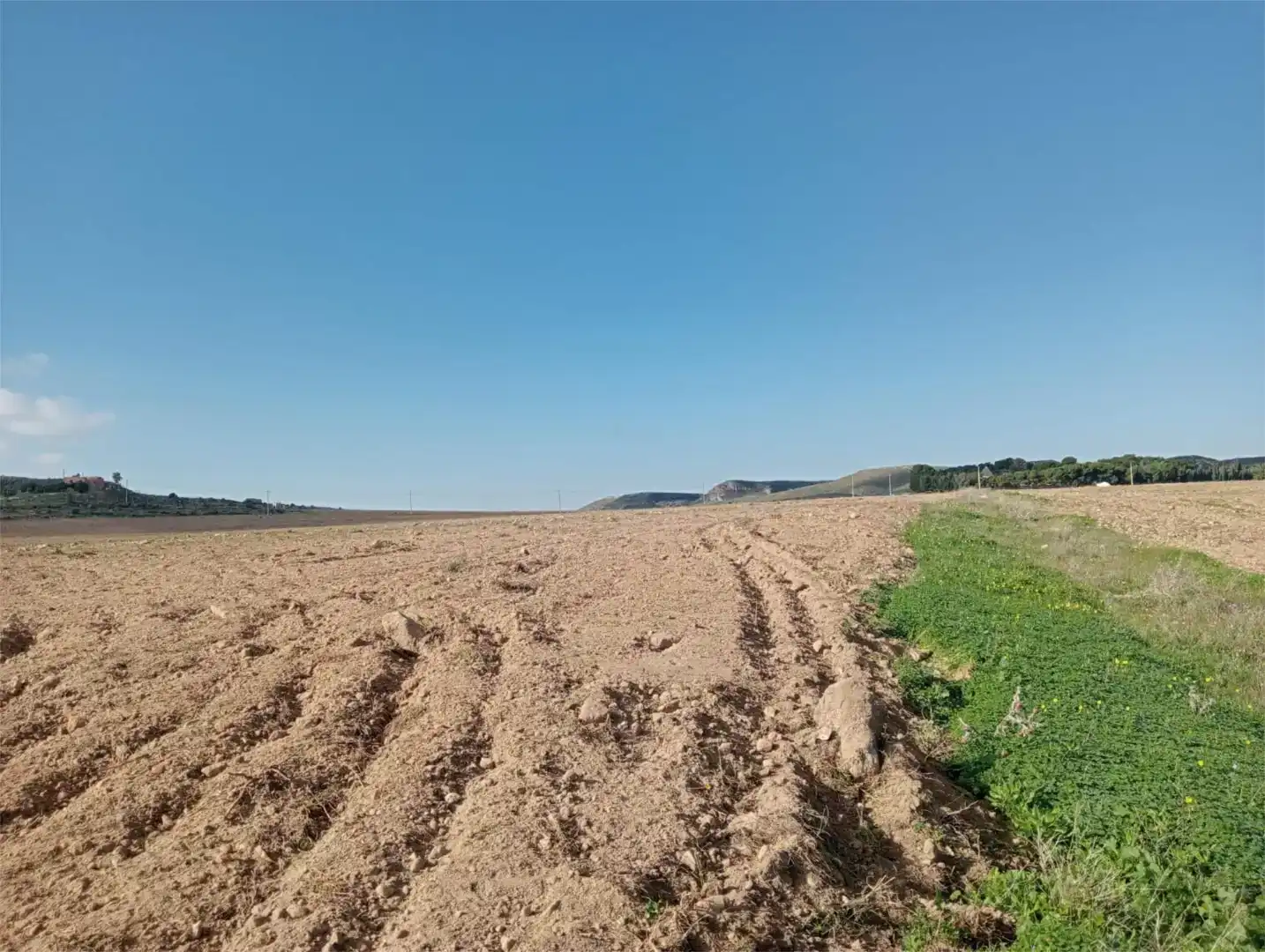 Land for sale in Níjar