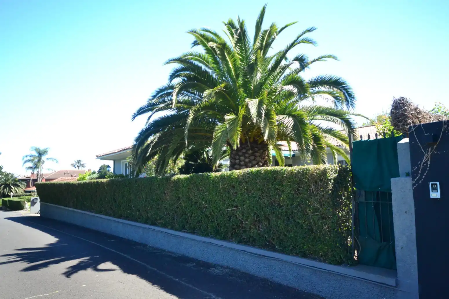 Casa o chalet en venta en Tacoronte - Calle Las Llaves, Tacoronte - Los Naranjeros