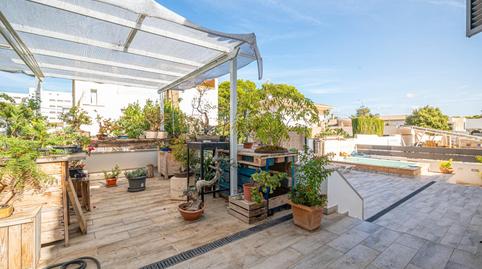 Photo 3 of Houses for sale in Les Maravelles, Palma de Mallorca