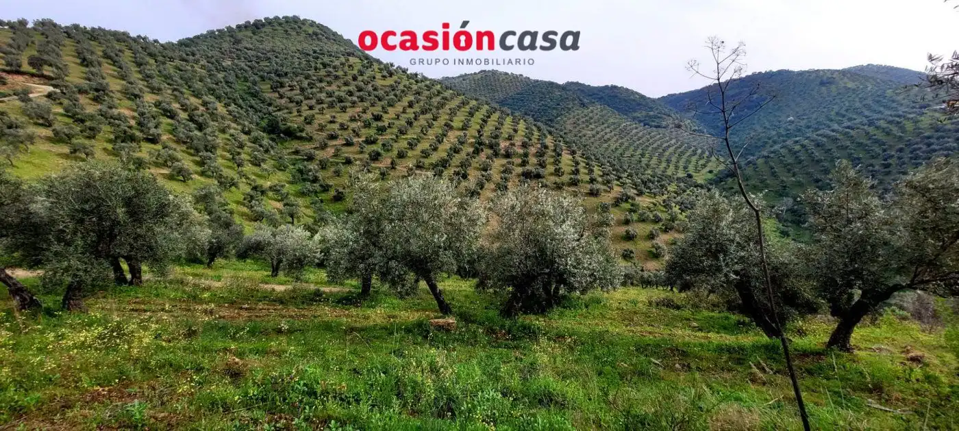 Casa rústica en venda a Pozoblanco, imagen 12