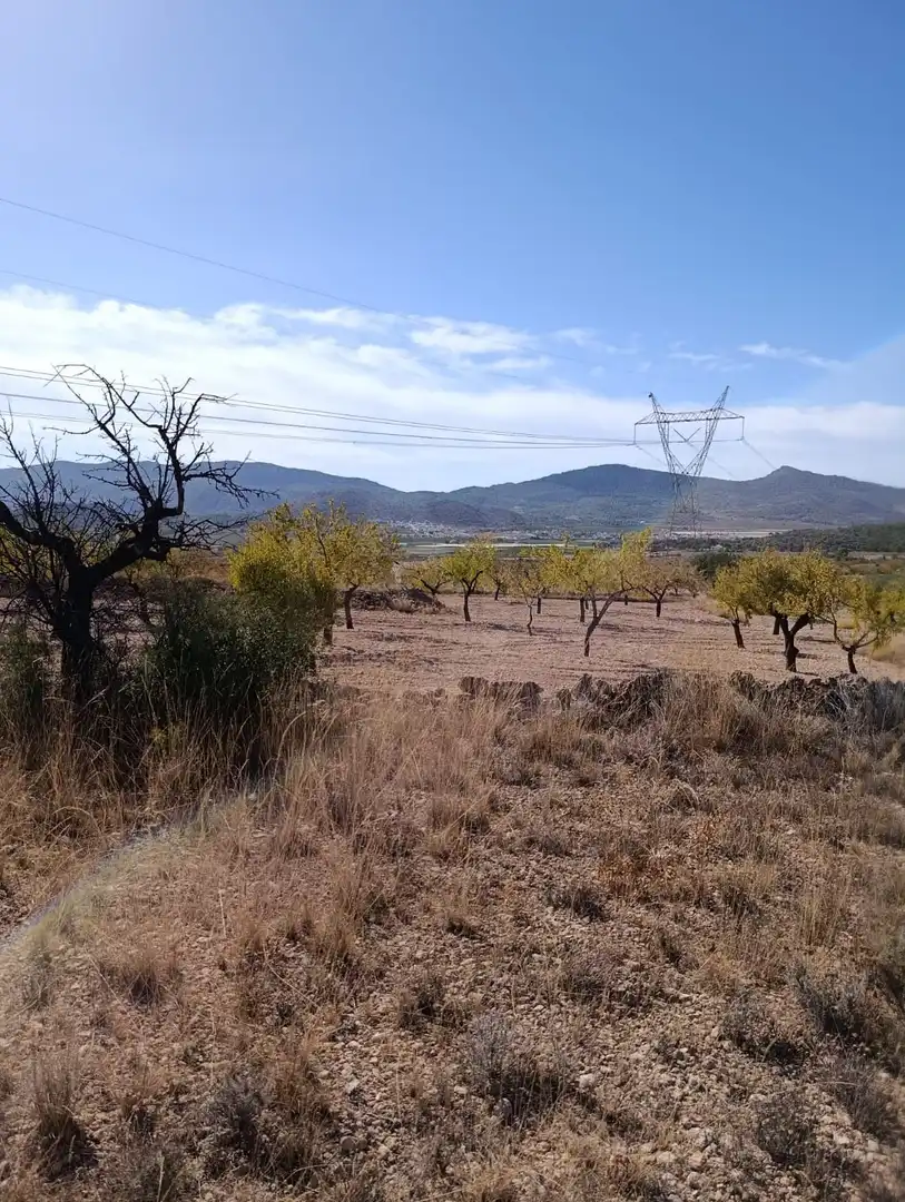 Terreno rustico in vendita a Hondón de las Nieves / El Fondó de les Neus, imagen 39