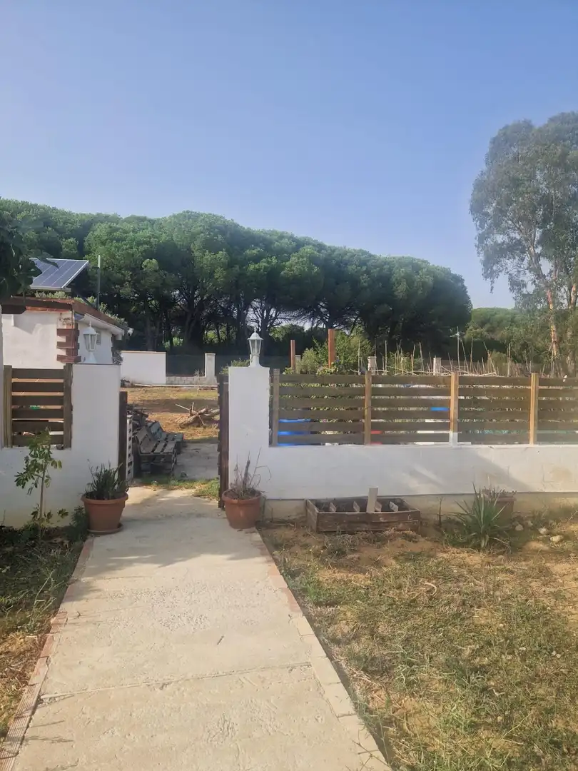 Garden of Country homes for sale in Puerto Real  with Private garden and Swimming Pool