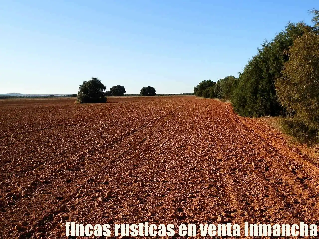 Lands and plots for sale in Ossa de Montiel, imagen 12