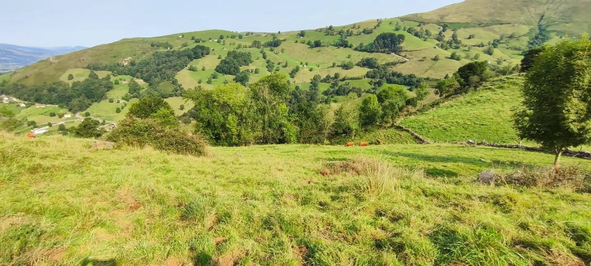 Casa in vendita a Selaya, imagen 8