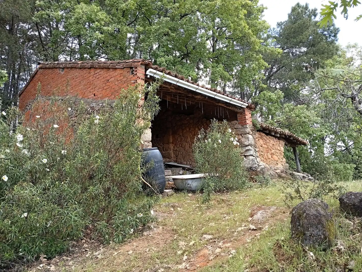 Terreni e lotti in vendita a Villanueva de la Vera, imagen 6