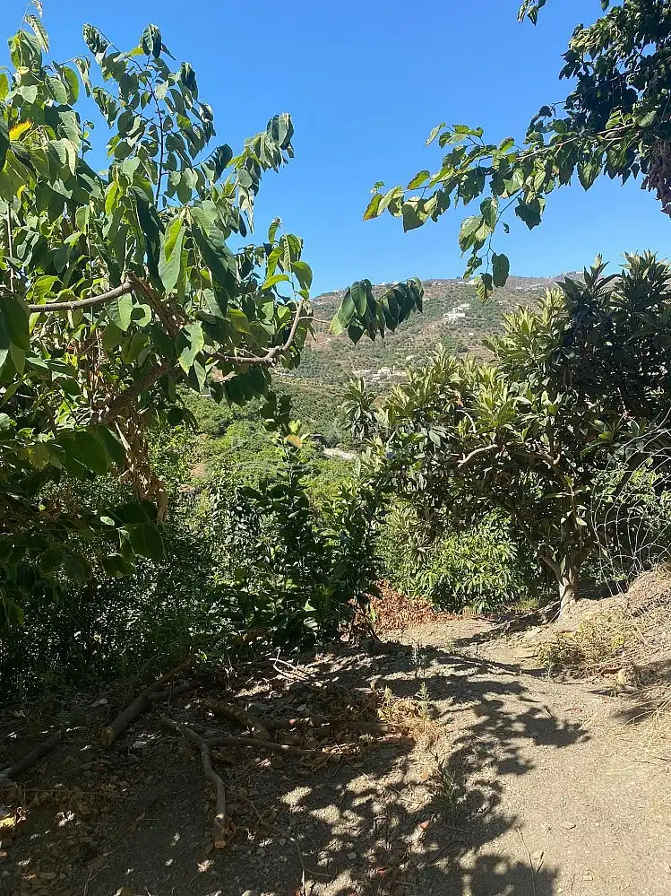 Maison avec piscine à vendre à Torrox Pueblo, imagen 29