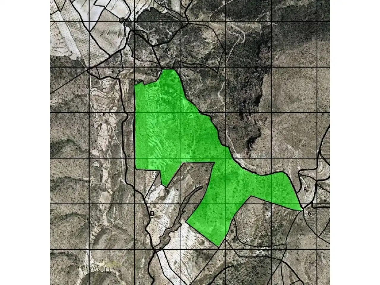 Terreno rustico in vendita a 12 85