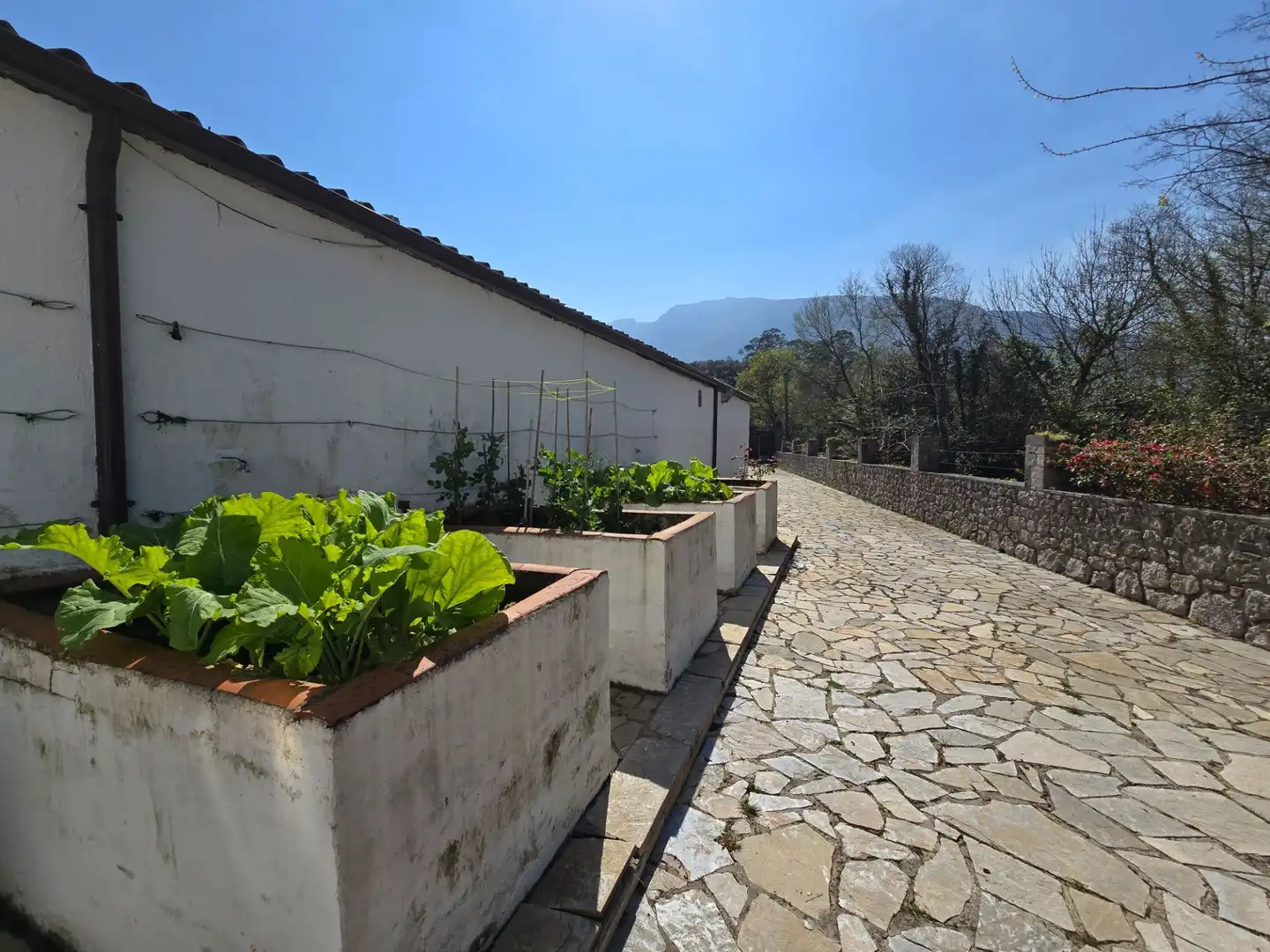 Casa o xalet en venda a Posada - Barro