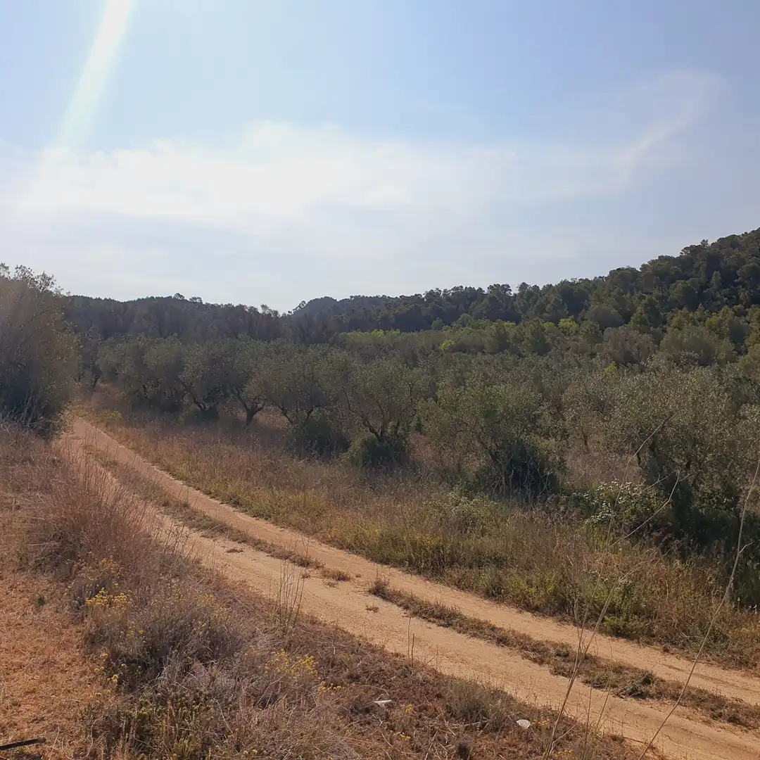 Rustikales Grundstück zum Verkauf in El Pinell de Brai, imagen 39