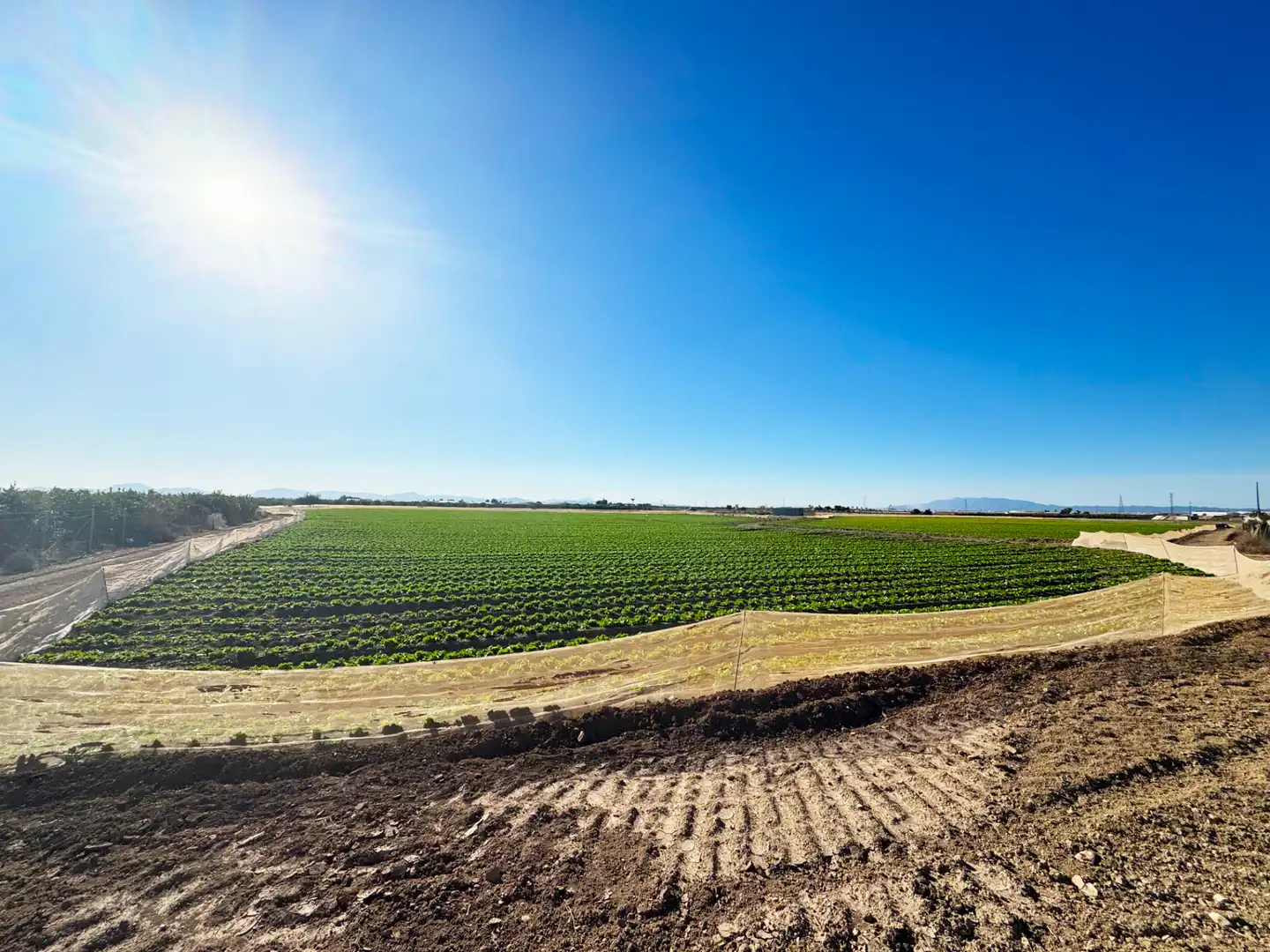 Lands and plots for sale in Diseminado Meroños 175, imagen 18