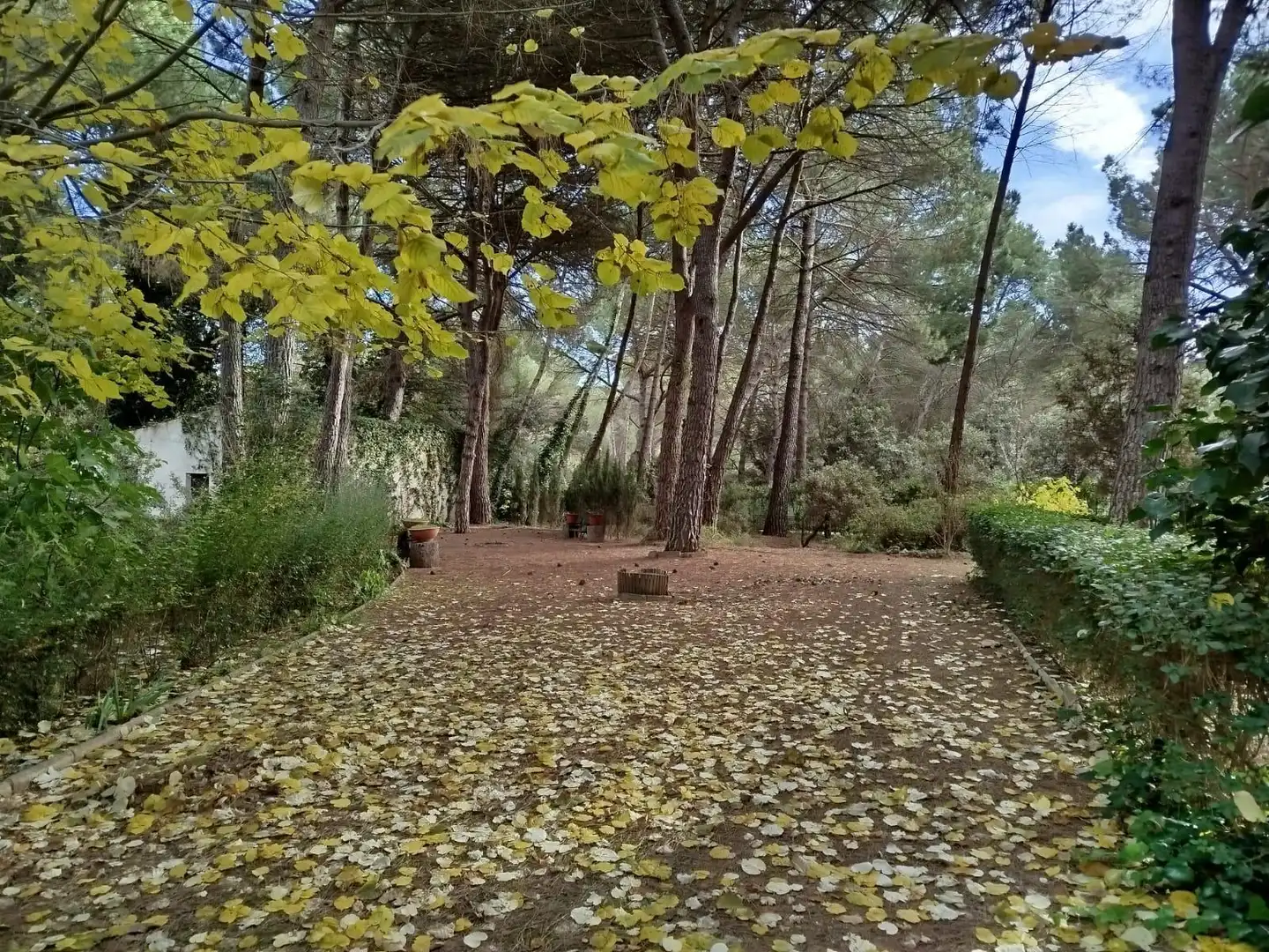 Chalet con piscina en venta en Pedanías - Extrarradio, imagen 49