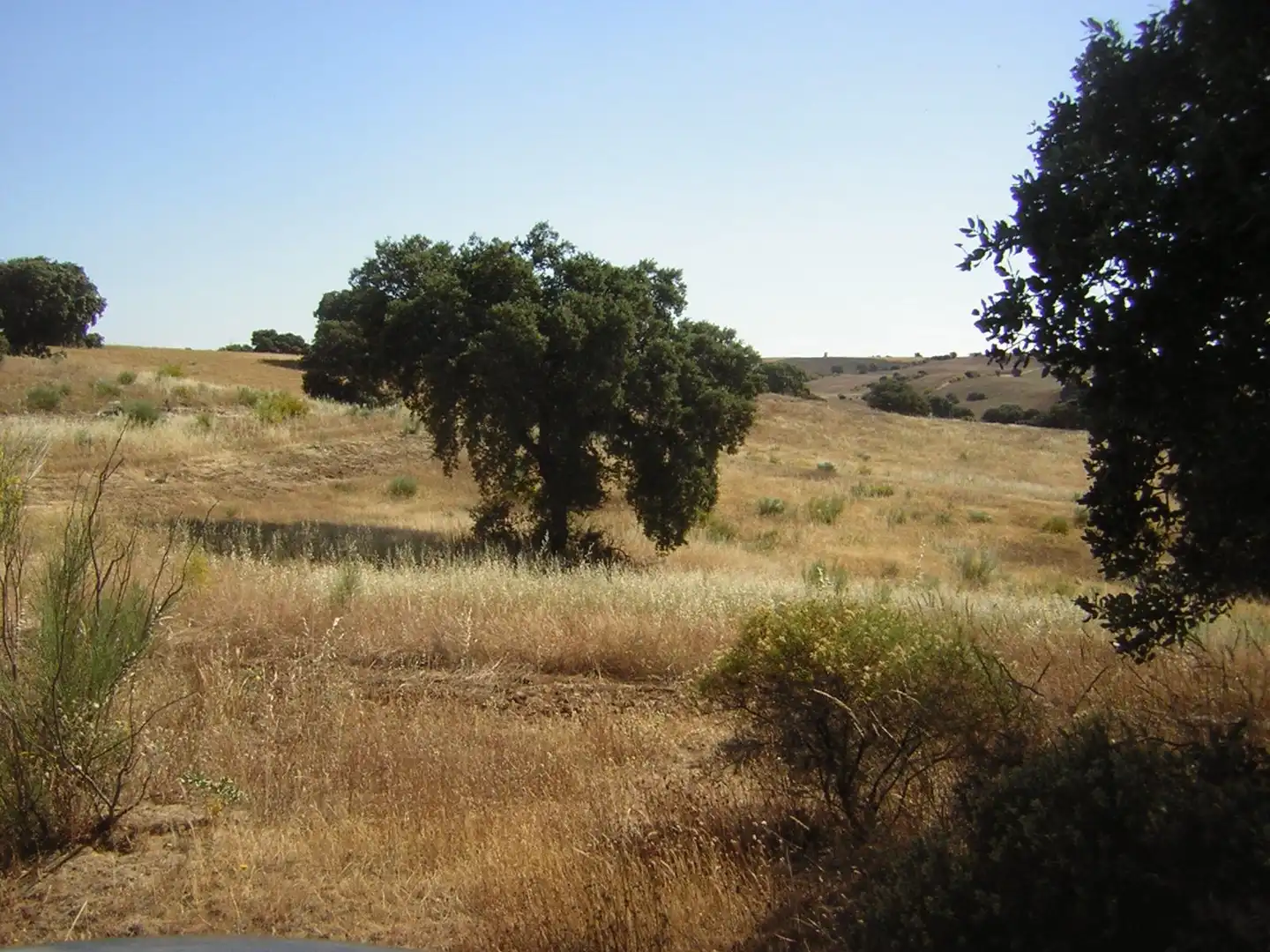 Rural land for sale in Almorox, imagen 4