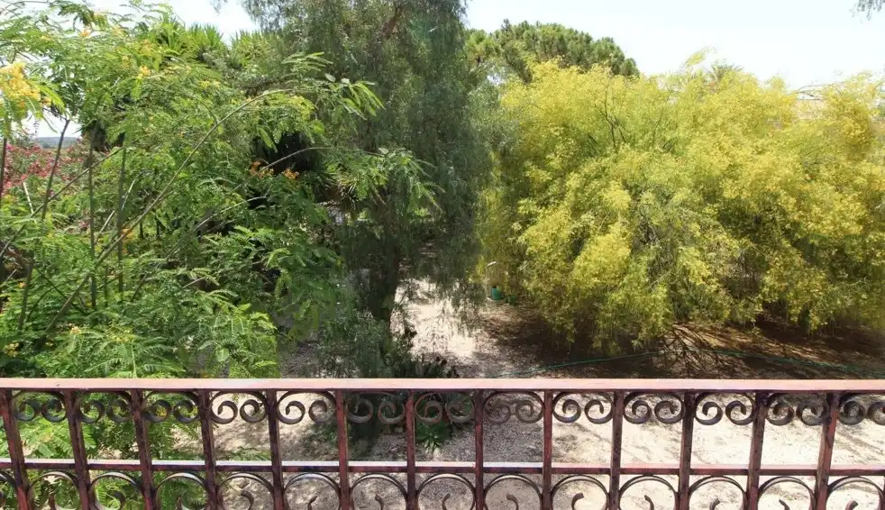Jardín de Casa o chalet en venta en Elche / Elx con Jardín privado