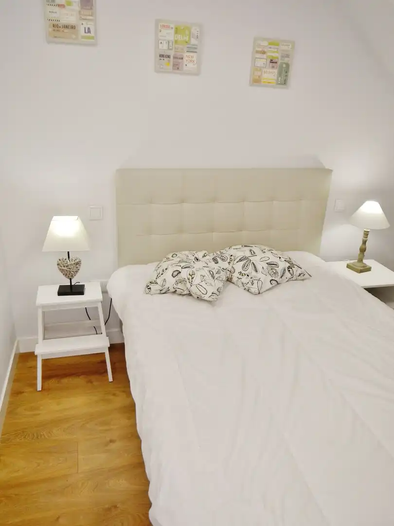 Bedroom of Attic for rent in Madrid  with Air Conditioner, Heating and Furnished
