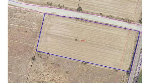 Terreno en venta en Monzón