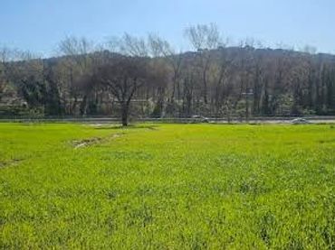 Terreny rústic en venda a Santa Maria de Palautordera