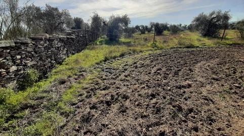 Foto 5 de Terreno en venta en Botija, Cáceres