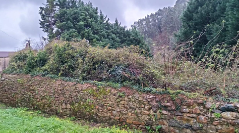 Photo 4 of Residential for sale in Otañes-corrales 8(h), Mioño - Santullán, Cantabria