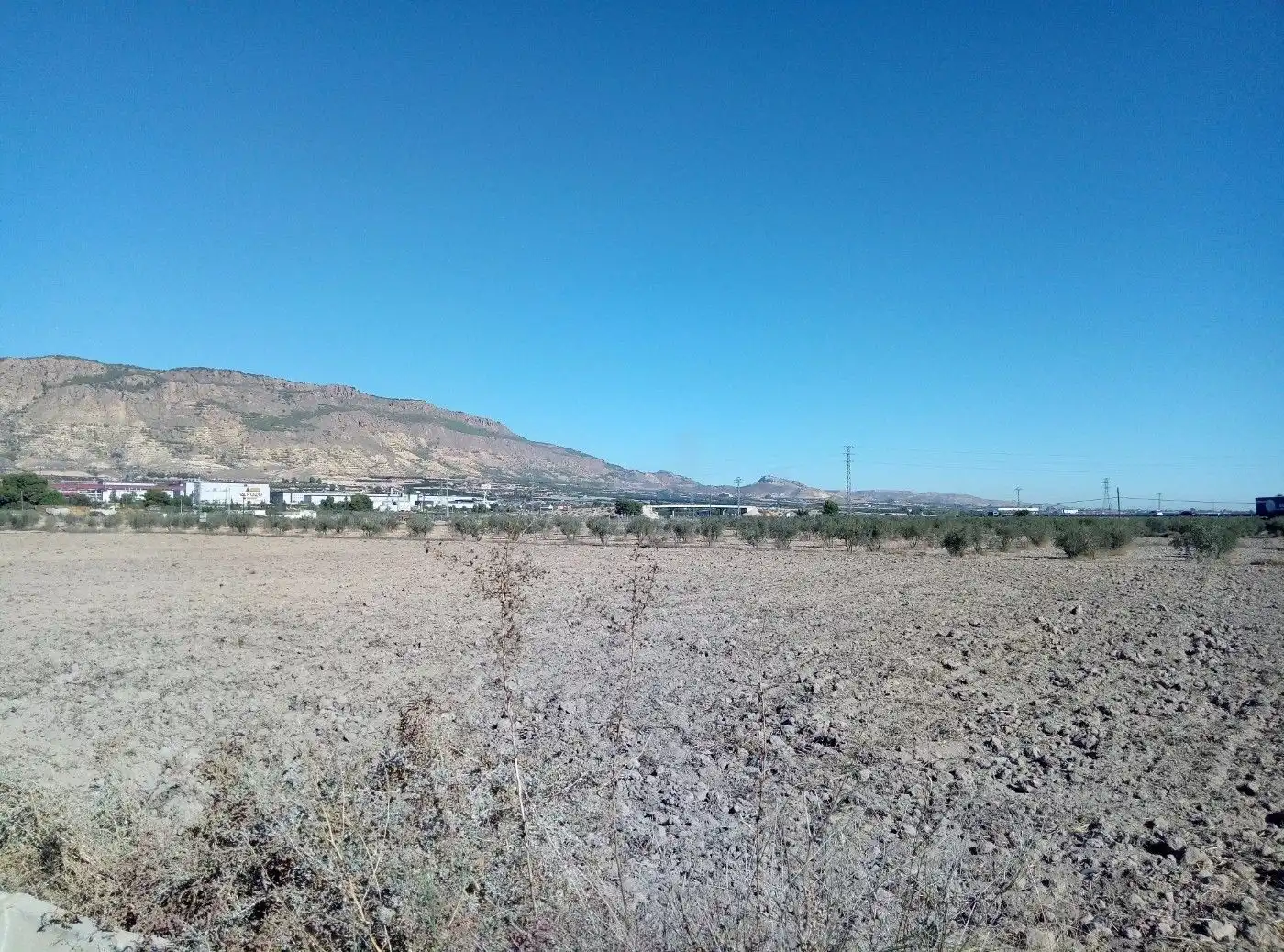 Terreny industrial en venda a Alhama de Murcia ciudad, imagen 13