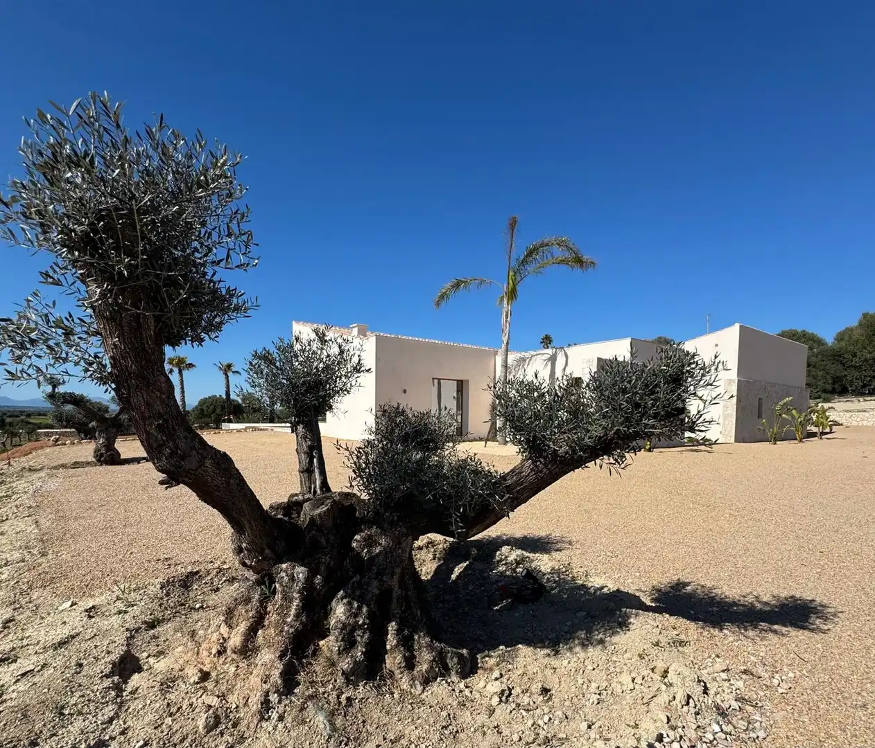 Vista exterior de Finca rústica en venda en Manacor amb Aire condicionat, Calefacció i Traster