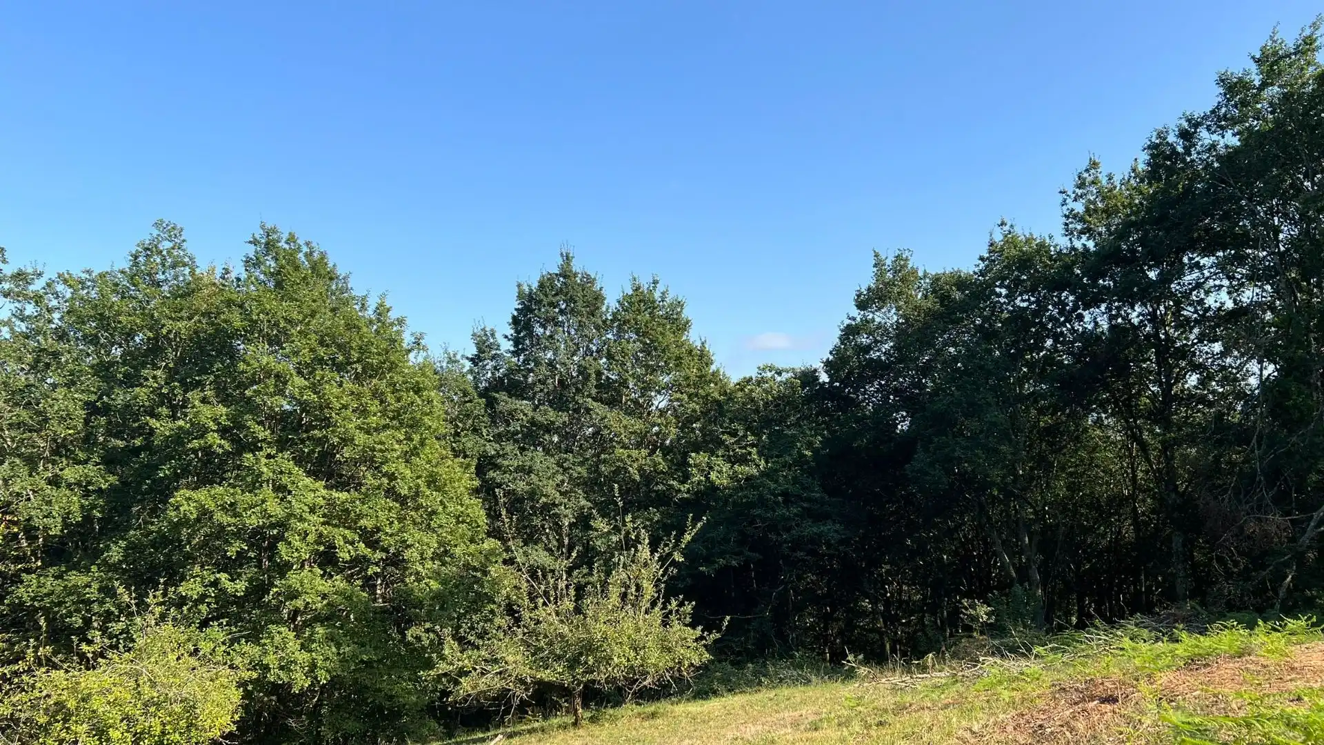 Terreno en venta en Parres