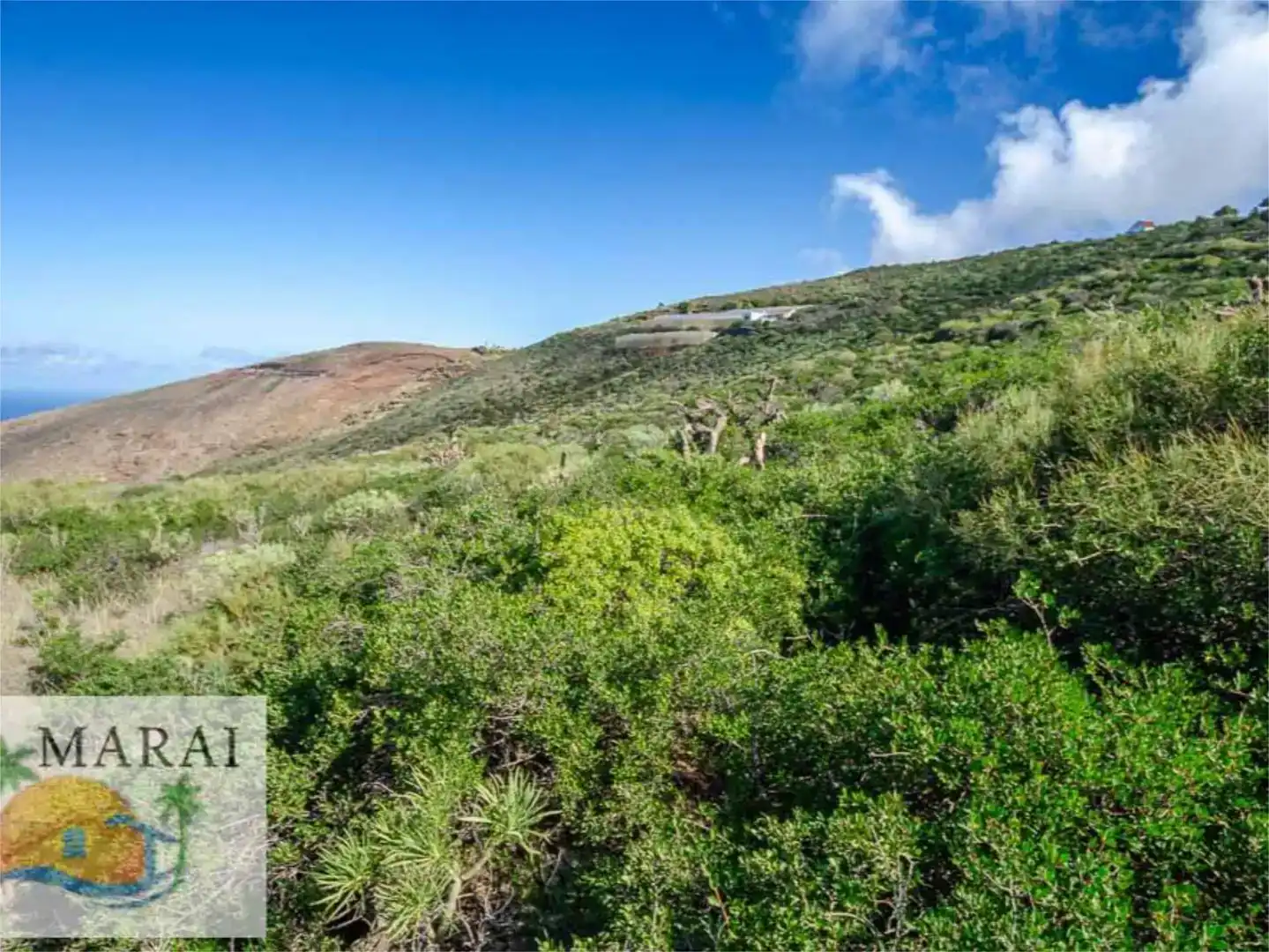 Terreno en venta en Puntagorda