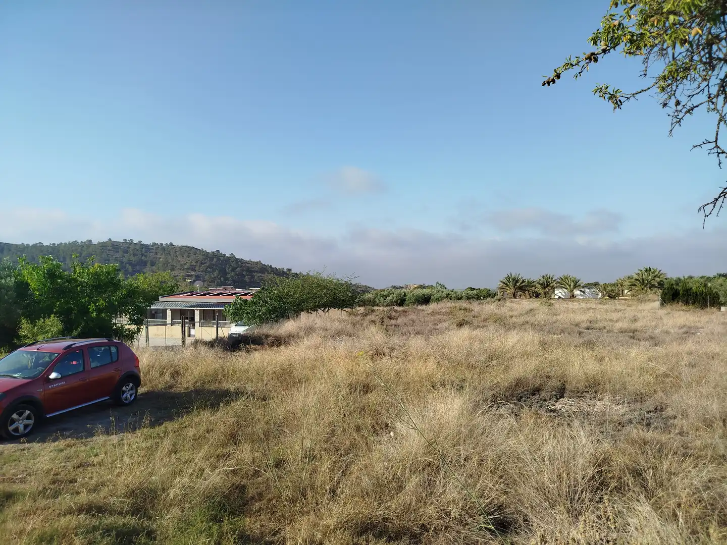 Terreno rústico en venta en Partida de la Fuente, imagen 7