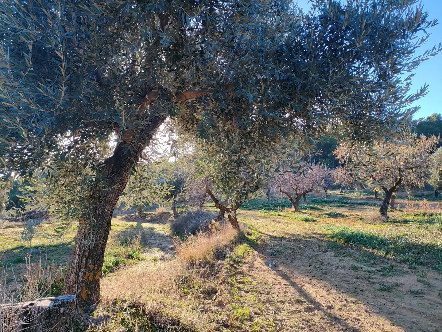 Terreni e lotti in vendita a La Fresneda, imagen 8