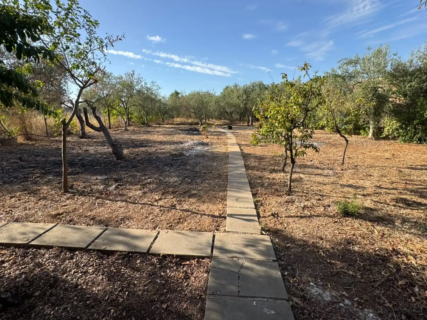 Finca rústica en venta en Pilas
