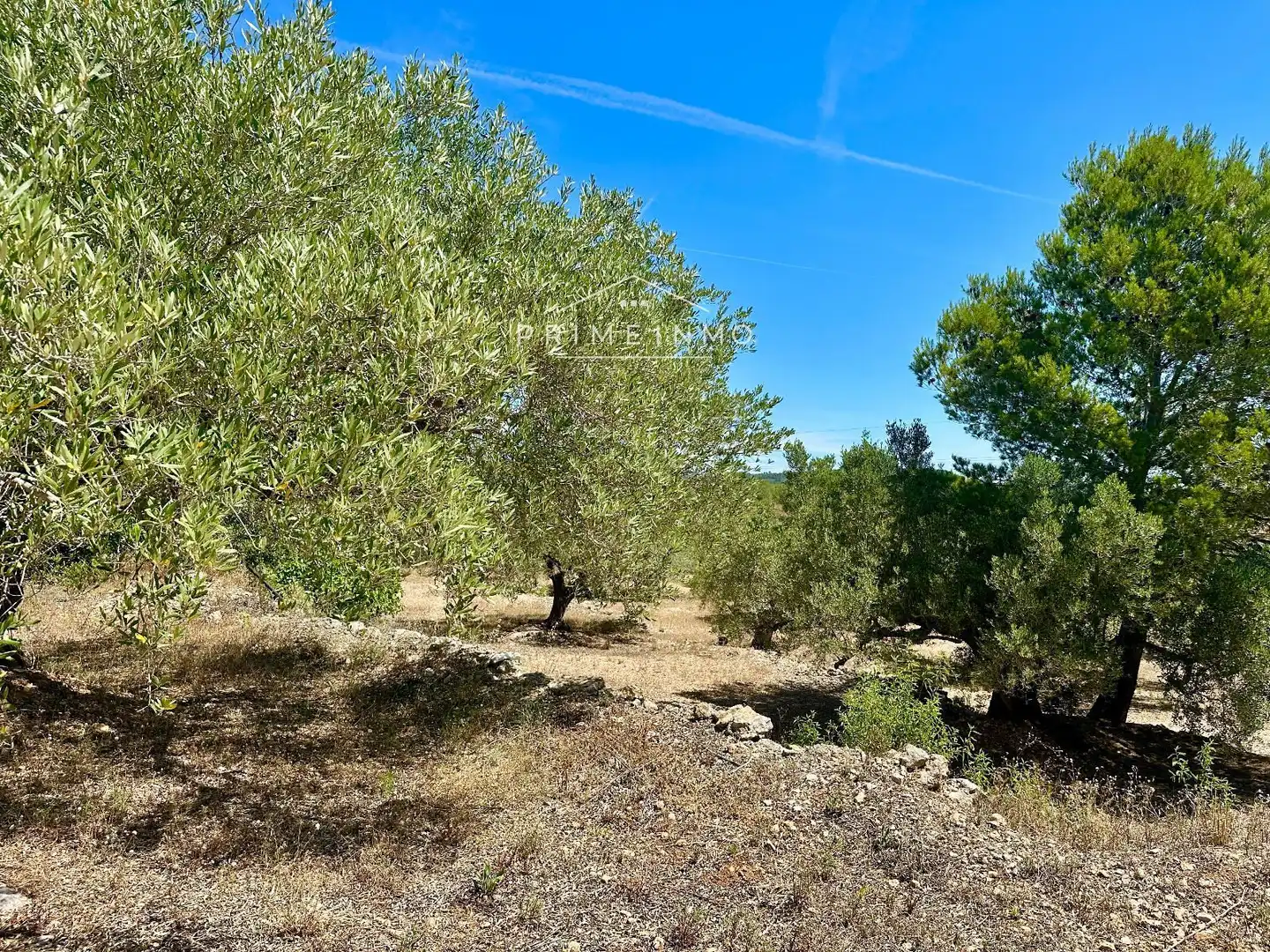 Finca rústica en venta en L'Ampolla con Aire acondicionado, Calefacción y Terraza