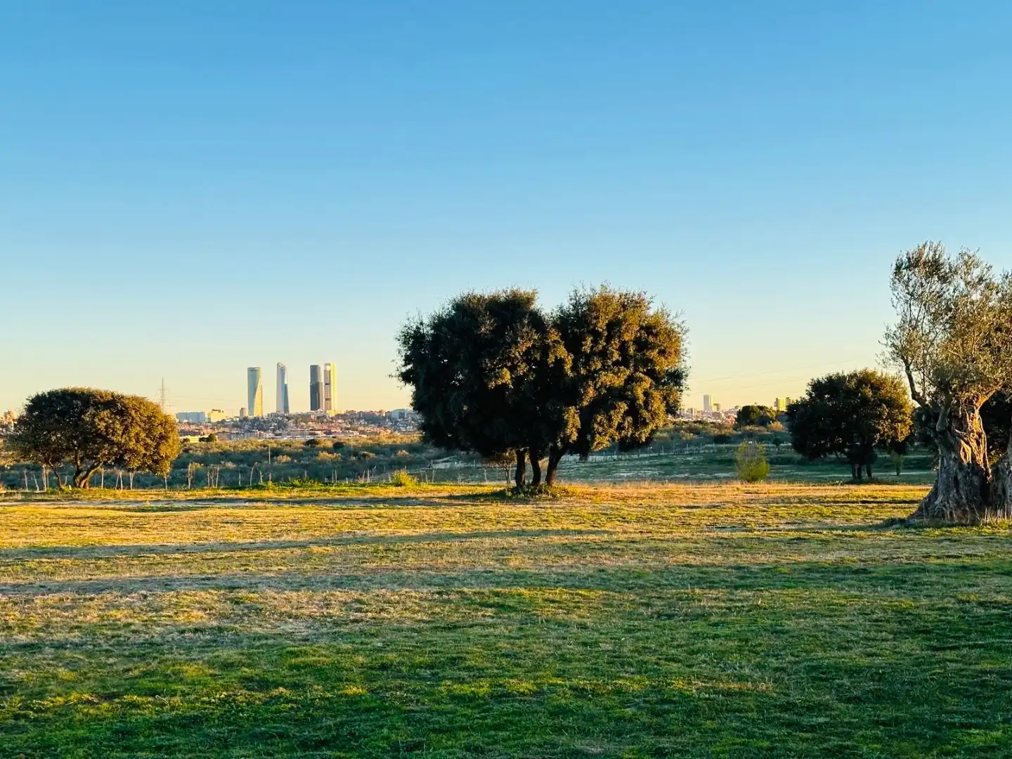 Vista exterior de Terreno en venta en Madrid
