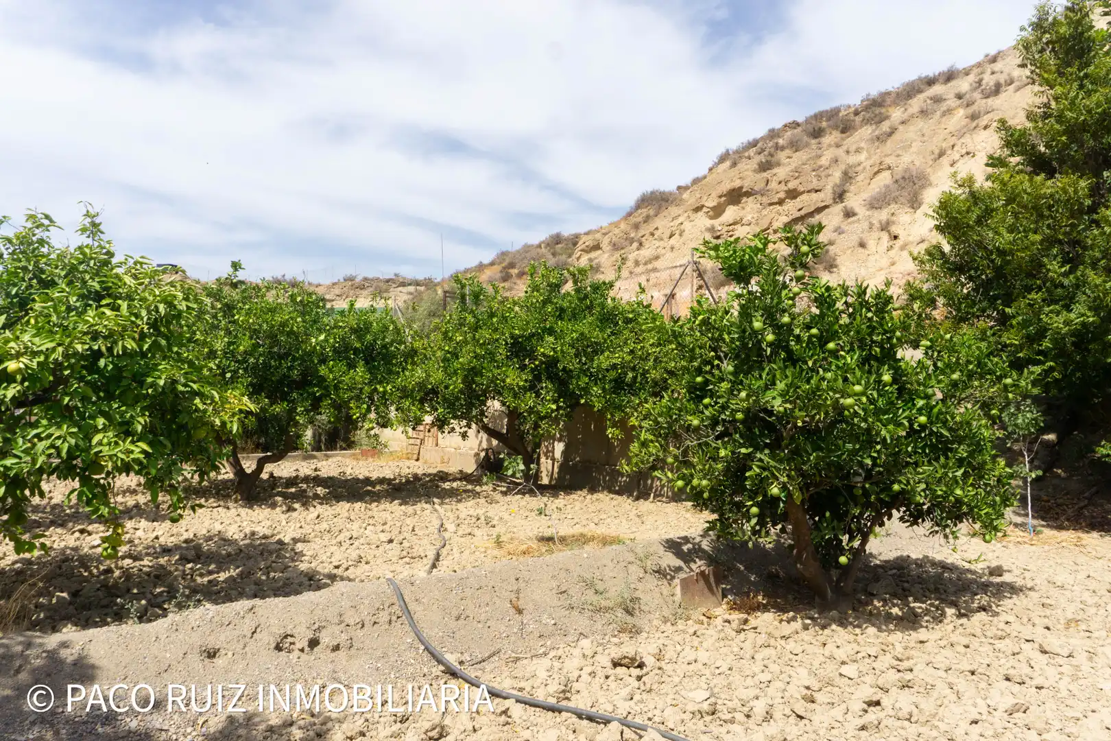 Terreno rustico in vendita a Rioja, imagen 3