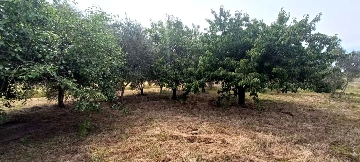 Finca rústica en venta en Mendavia con Jardín privado