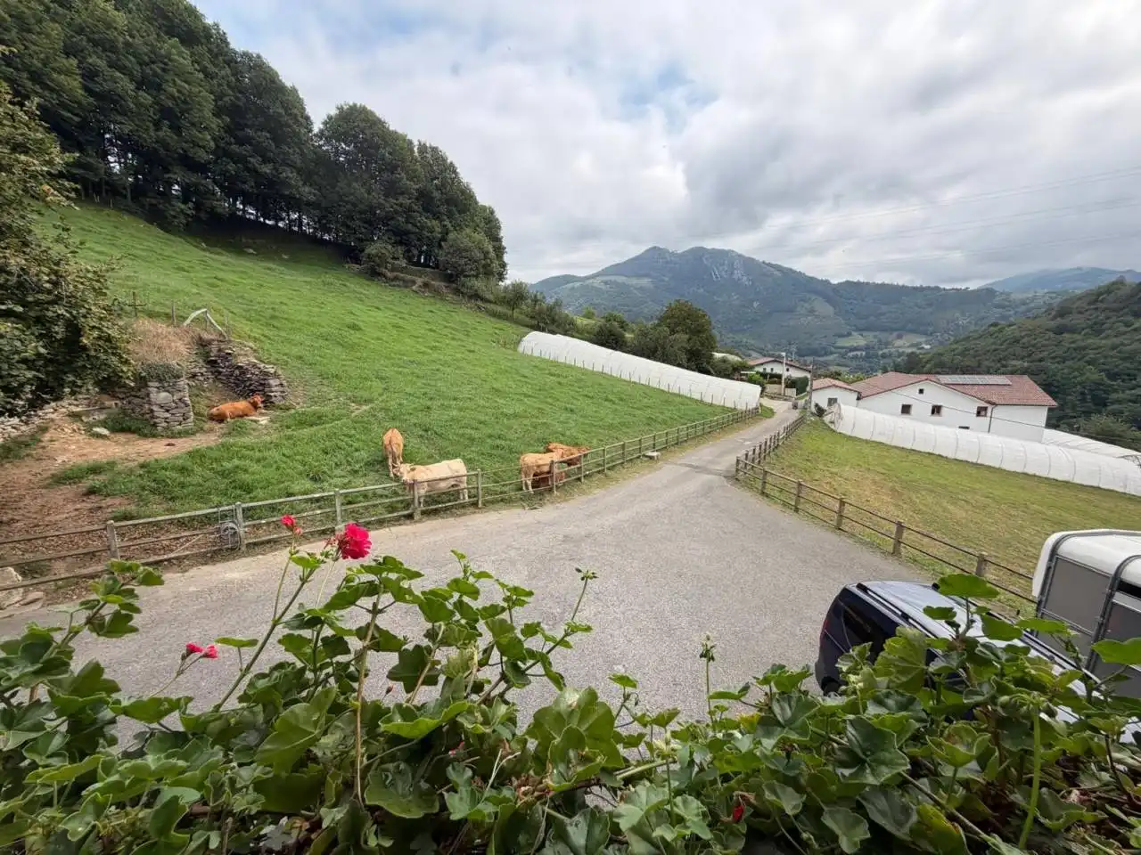 Exterior view of Houses for sale in Hernialde  with Private garden, Terrace and Furnished