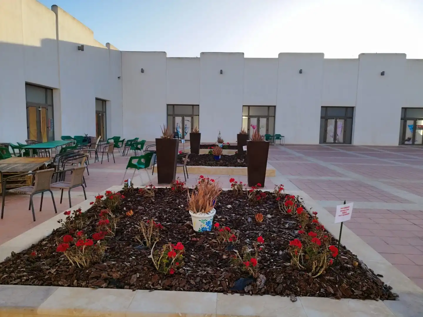 Terraza de Local de alquiler en Torre-Pacheco