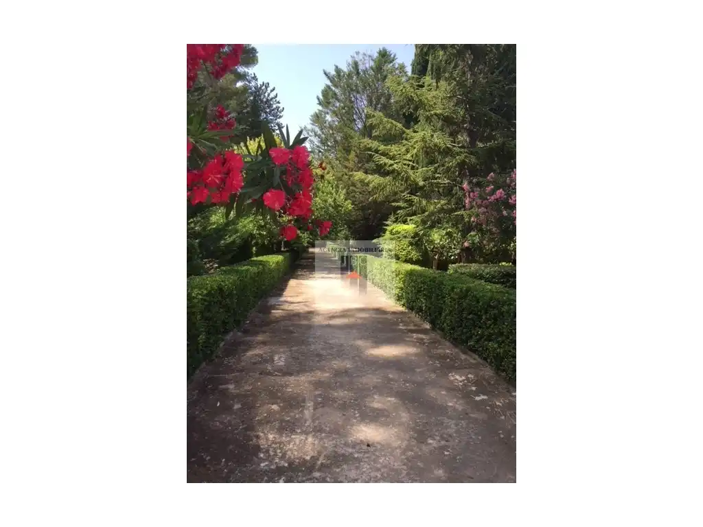 Maison rustique avec piscine à vendre à Muro de Alcoy, imagen 75