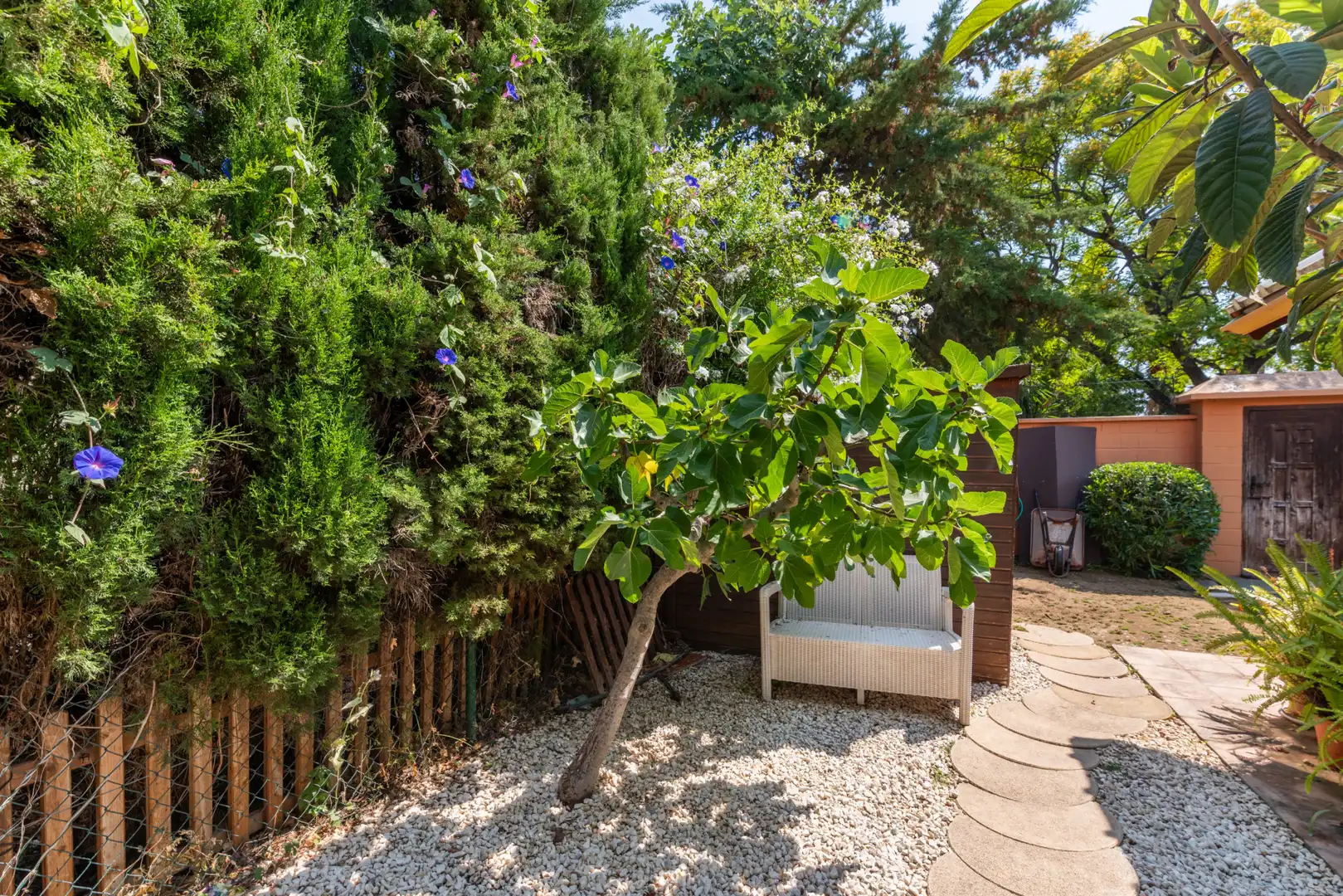 Casa con terraza en venta en San Pedro de Alcántara, imagen 41