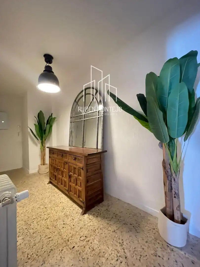 Wohnung zur Miete in Fray Junípero Serra, Chinchibarra