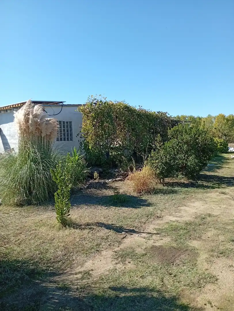 Finca rústica en venta en Candeleda