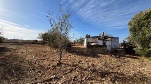 Photo 3 of Land for sale in  Hozanejos Pago Huno , Pelagatos - Pago del Humo, Cádiz