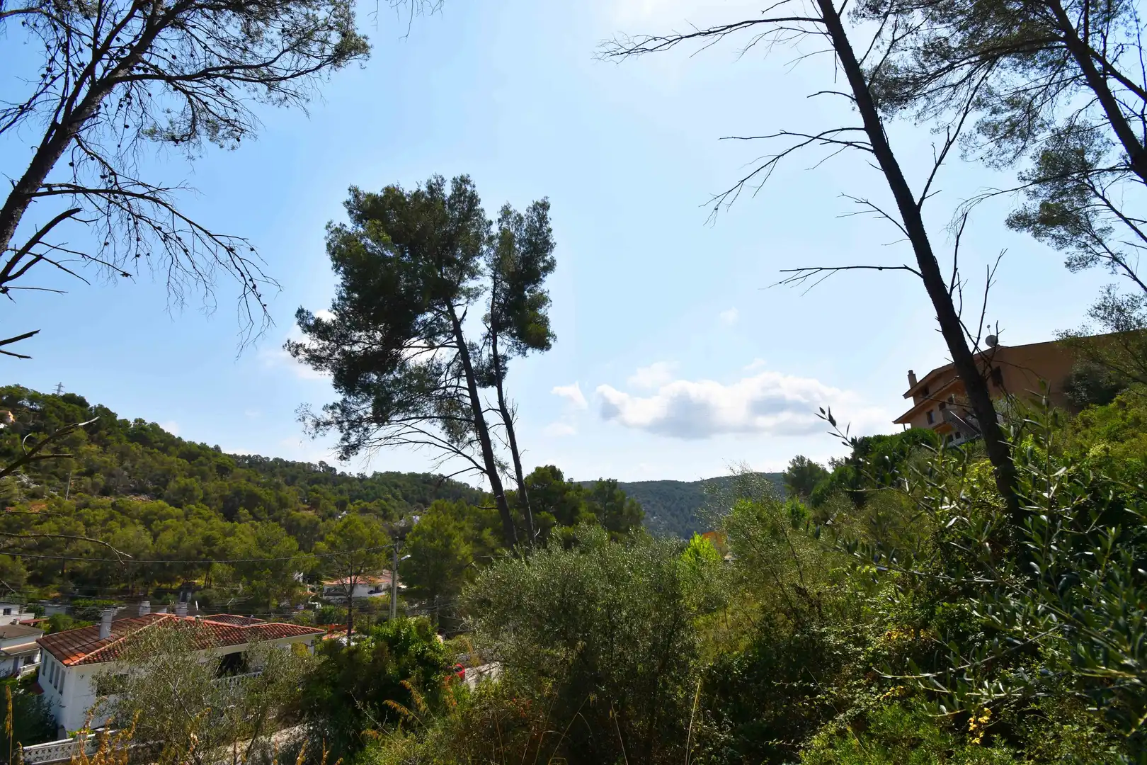 Terrain rustique à vendre à Calle Os Blanc, imagen 6