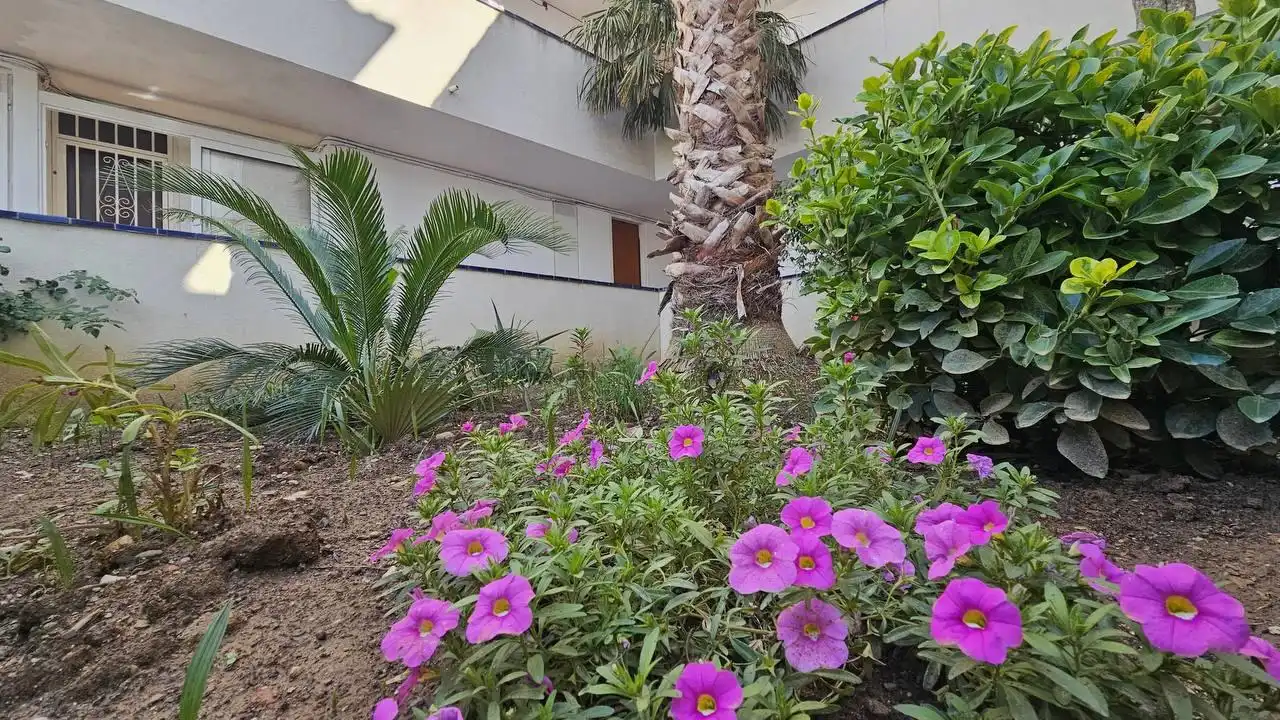 Jardín de Planta baja de alquiler en Roses con Aire acondicionado, Terraza y Amueblado