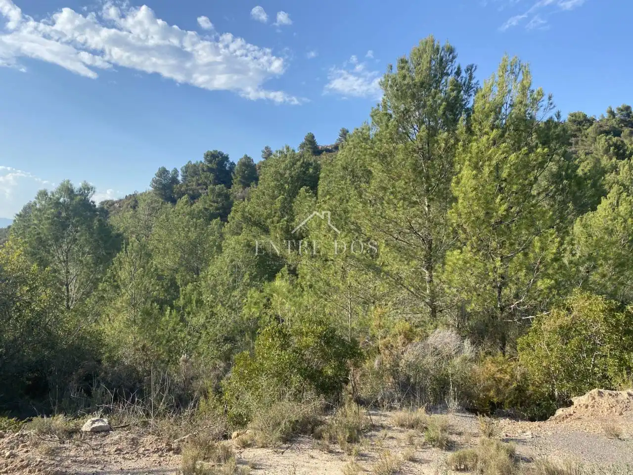 Rural land for sale in 18 parcela 79, imagen 2