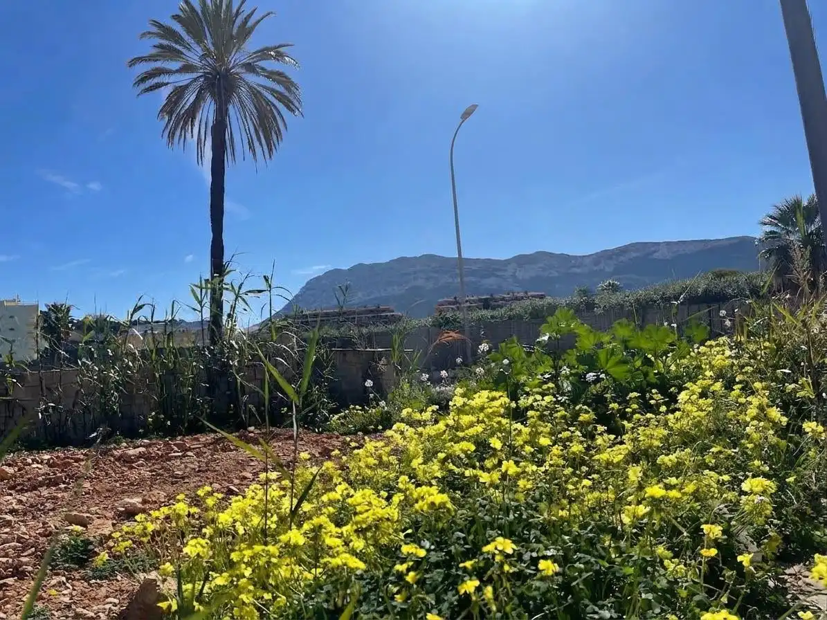 Apartamento con terraza en venta en Las Marinas / Les Marines, imagen 19
