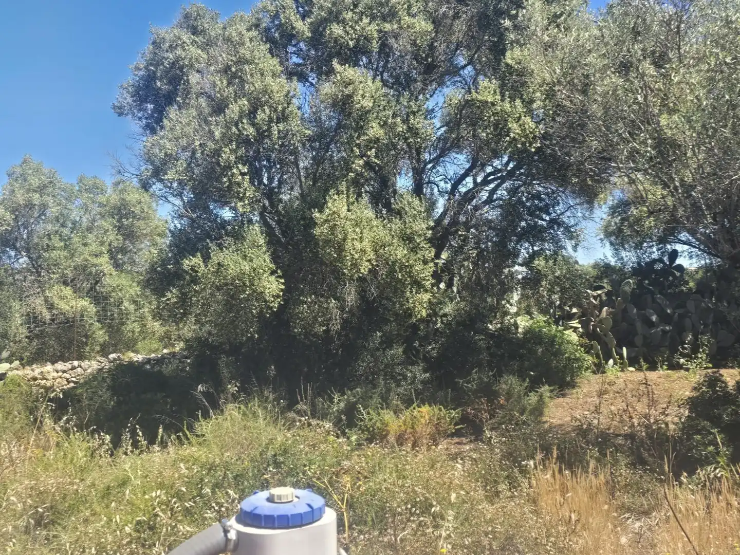 Finca rústica en venta en Marratxí con Terraza