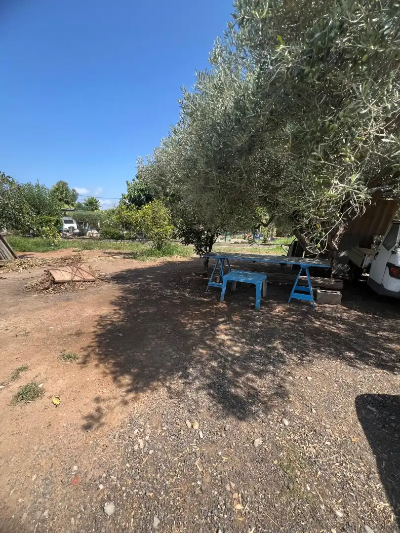 Country homes for sale in Castellón de la Plana / Castelló de la Plana  with Terrace and Swimming Pool
