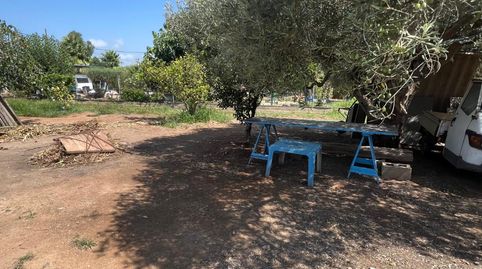 Foto 4 de Finca rústica en venda a Camí de la Donació, 292a, El Grao, Castellón de la Plana / Castelló de la Plana