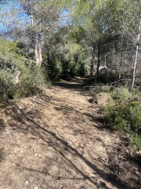Rural land for sale in Albalat dels Tarongers, imagen 12
