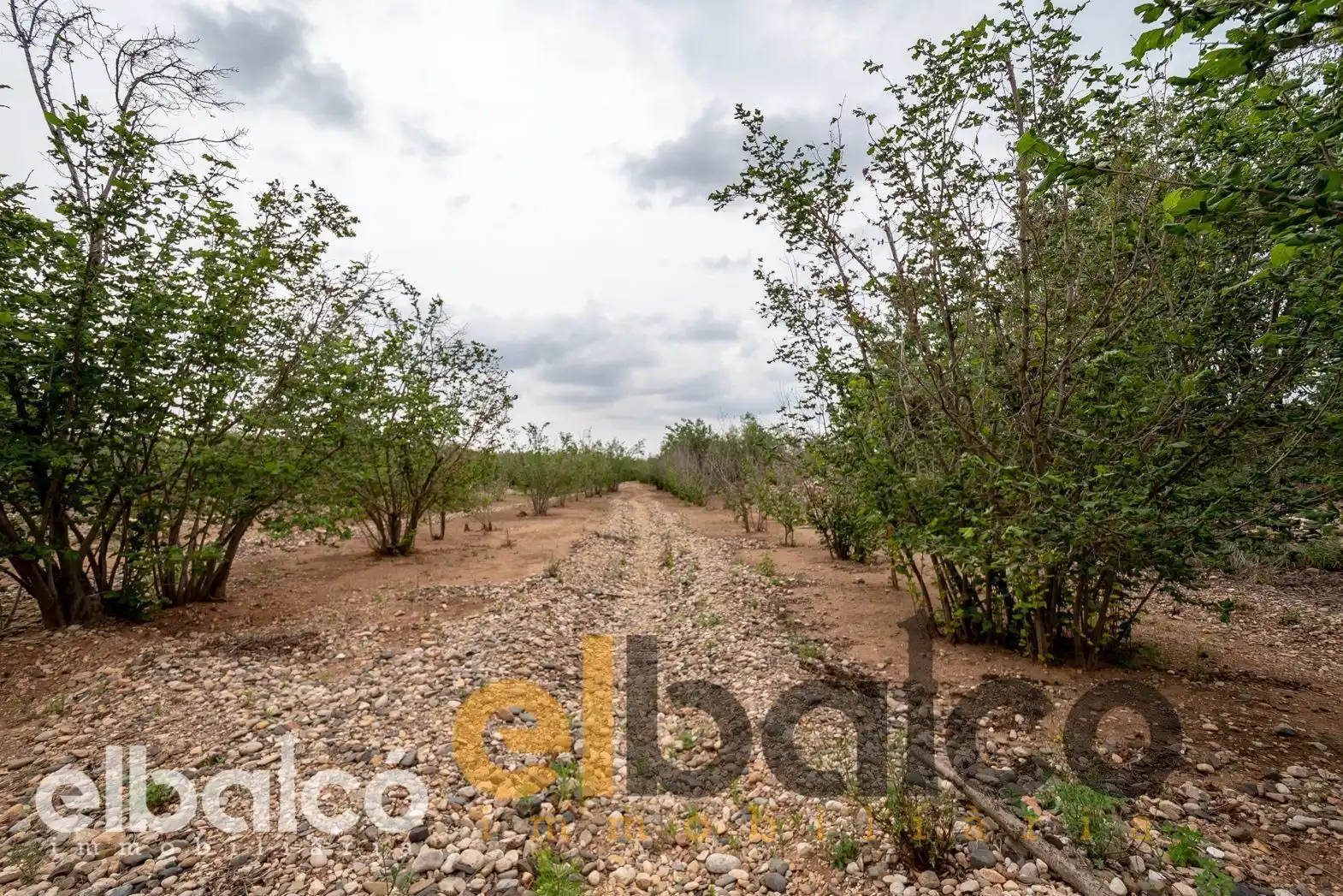 Country homes for sale in Valls  with Terrace, Swimming Pool and Furnished